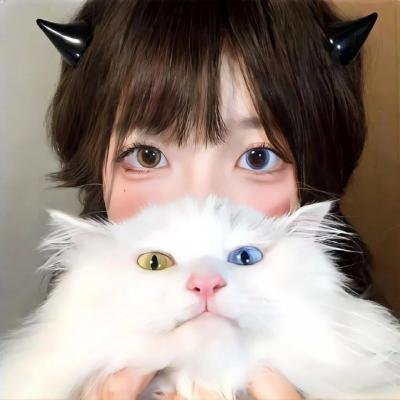 穿靴子的猫2